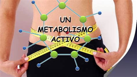 Que Es El Metabolismo Y Como Funciona Invdes Images