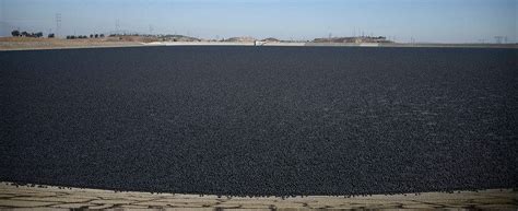 Los Angeles Reservoir Covered With 96 Million Plastic Balls To Fight Evaporation Amusing Planet