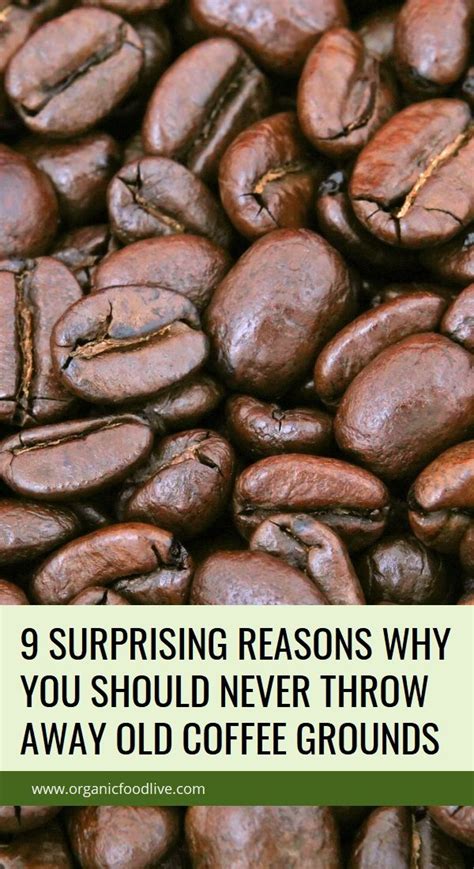 9 Surprising Reasons Why You Should Never Throw Away Old Coffee Grounds