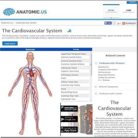 Together, this becomes an anatomical map of a single ai system. 4 Free Anatomy Websites To Explore Human Anatomy