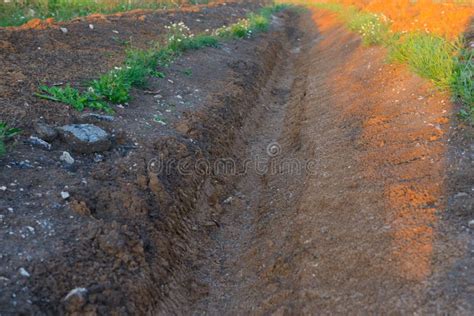 A Ditch Dug A Trench In A Field On A Summer Stock Image Image Of