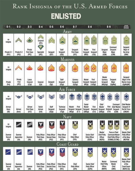 Us Army Rank Structure Chart