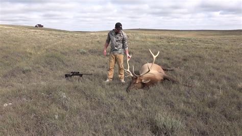 Alberta Prairie Elk Hunt Youtube