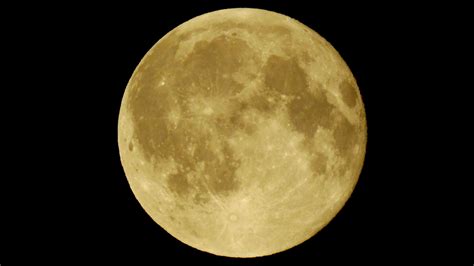 Businesses enjoy business pricing, bulk discounts, and free office design „Voll der Vollmond" über Berlin - B.Z. Berlin