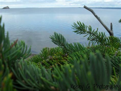 Kelsey G Photography Love Photography Photography Natural Landmarks