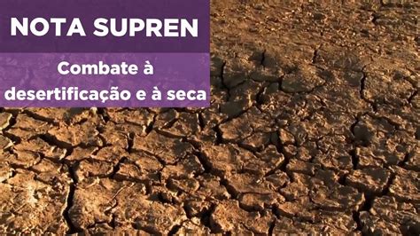 Onu Ressalta A Importância Do Combate à Desertificação E à Seca No Planeta Youtube