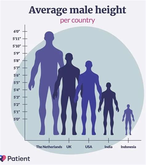 The Average Heights Of Males Around The World