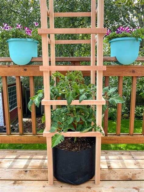 Diy Tomato Cage With Free Plans The Handymans Daughter