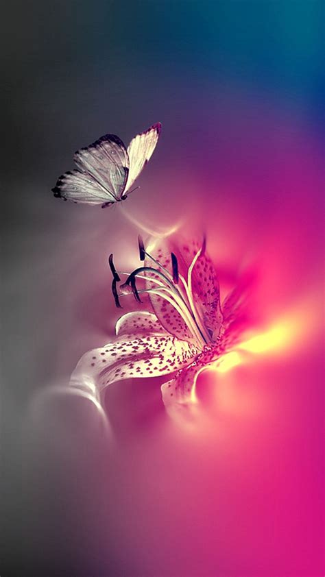 Full Hd Iphone Butterfly Wallpaper Download Share Or Upload Your Own