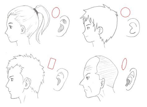 Anime Ears Drawing At Getdrawings Free Download