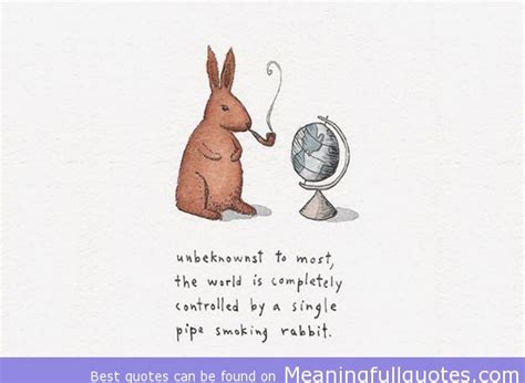 Maybe you would like to learn more about one of these? Cute Quotes About Rabbits. QuotesGram