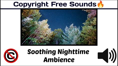 Soothing Nighttime Ambience Night Sound Nocopyright Copyright