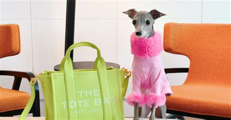 Inside The Billion Dollar Dog Fashion Industry Artful Living Magazine