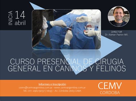 Curso Presencial De Cirugía General En Caninos Y Felinos Cemv Argentina
