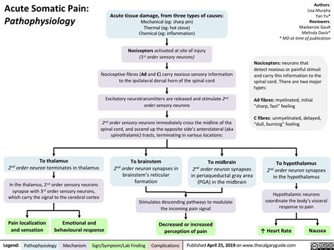Acute Somatic Pain Calgary Guide