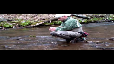 Wild Trout Fishing In Pennsylvania Brookies And Browns Youtube