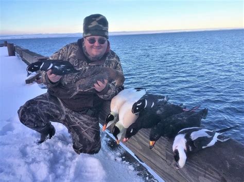 Alaska Sea Duck Hunt In Cold Bay Ak Outfitter Guide Services