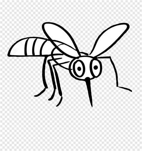 Drawing Mosquito Line Art Mosquito White Monochrome Png Pngegg