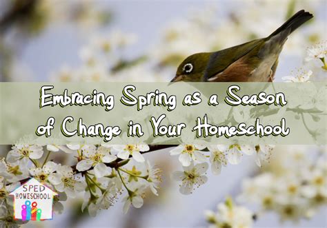 Sped Homeschool Embracing Spring As A Season Of Change In