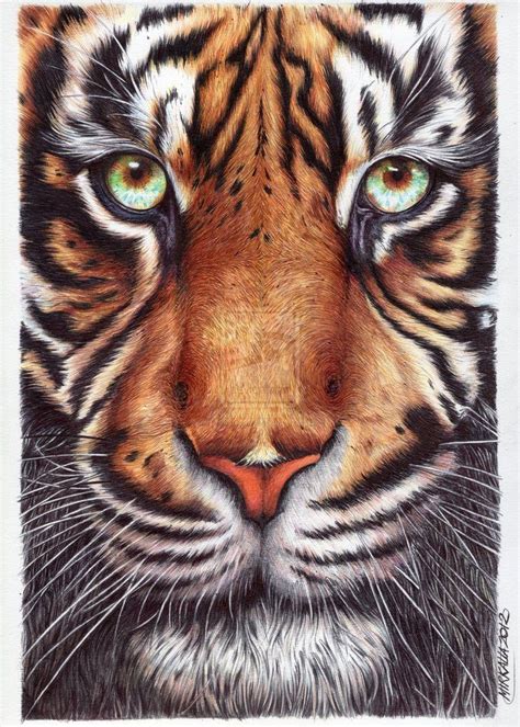 Tiger By Thessagreenleaf On Deviantart Big Cats Body Art Deviantart