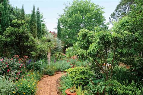 A Dreamy Year Round Garden In Austin Southern Living
