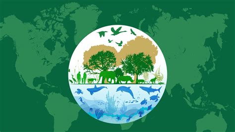 Engaging governments, businesses, celebrities and citizens to focus their efforts on a pressing environmental issue. Official website of UN World Wildlife Day