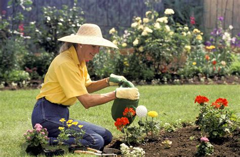 Gardening Just Twice A Week Improves Well Being And Relieves Stress