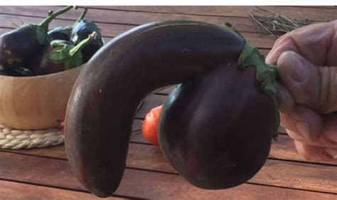 Erotic Eggplant Offers Satisfaction Guarantee Life Life And Style Uk