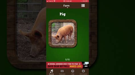 Farm Animal Names And Sounds Youtube