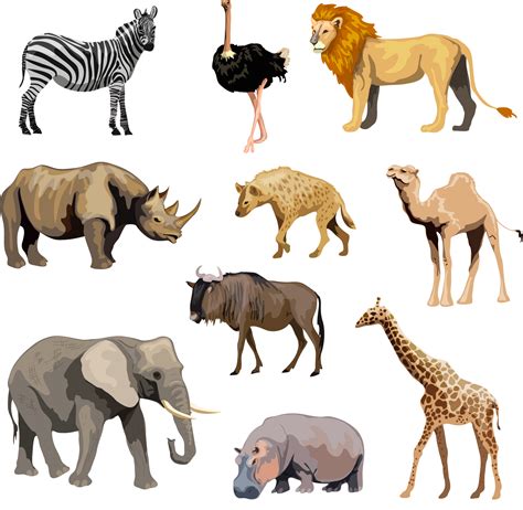 Download Full Size Of Africa Animals Png Hd Quality Png Play