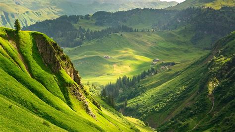Aerial View Of Green Grass And Trees Covered Mountains Nature Hd