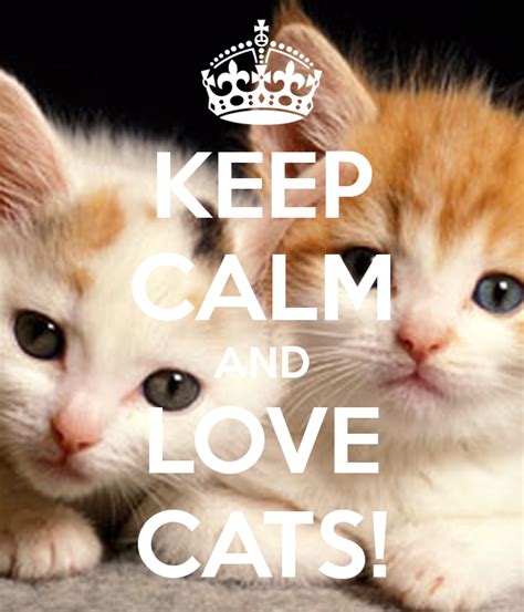 Keep Calm And Love Cats With Images Keep Calm And Love Keep Calm