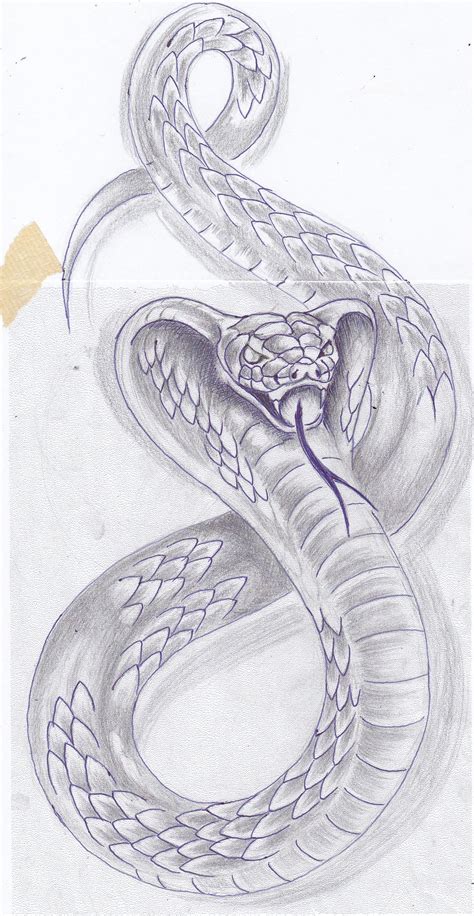 Aprender Sobre Imagem Desenhos De Cobras Br Thptnganamst Edu Vn
