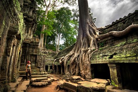 Here are 10 of the top experiences to tick off your list during your time in the kingdom of wonder. Ta Prohm Temple, Cambodia - | Amazing Places