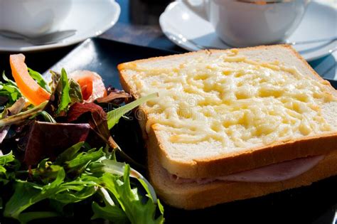 croque monsieur a traditional french toasted gruyere cheese and ham sandwich stock image image