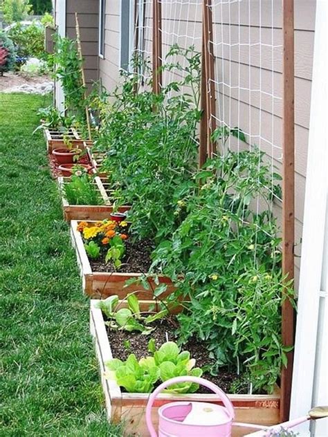 22 Creative Container Vegetable Gardening Ideas To Copy Now