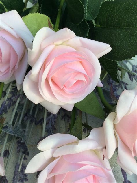 Delicate Pink Real Touch Rose Bouquet Of Six Stems Etsy