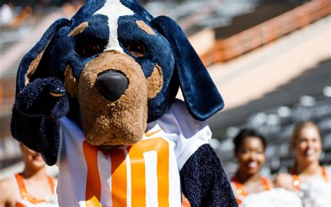 The 10 Most Popular Dog Breeds For College Mascots Parade Pets
