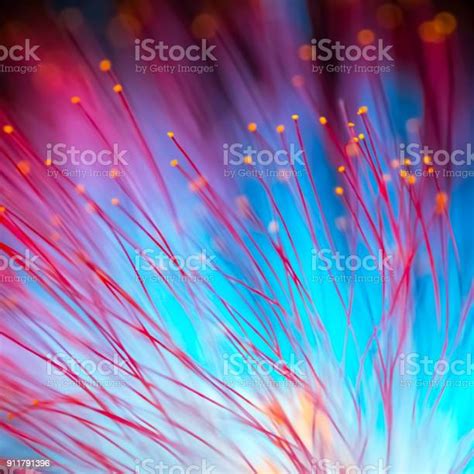 Abstract Blurred Red And Blue Light And Flower Natural Background Stock