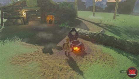 Read on to when a blood moon occurs, what it does, and how force a blood moon to trigger. Heat Resistance Potion Recipe Breath Of The Wild | Sante Blog