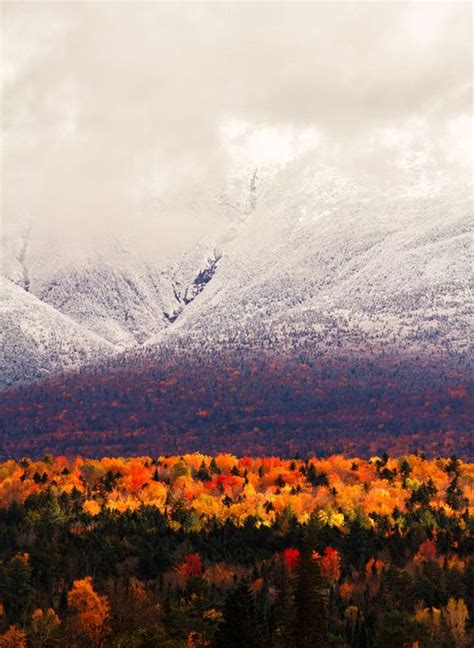 Autumn Variations Scenery Mount Washington New Hampshire Nature