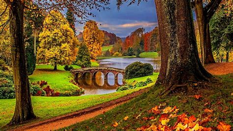 自然、 秋、 葉、 風景、 庭、 公園、 木、 植物園、 橋、 草、 水、 スタウアヘッド、 ウィルトシャー、 イギリス、 歩道橋、 イギリス