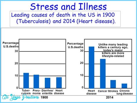 How Does Stress Contribute To Cardiovascular Disease