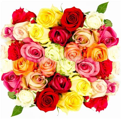 Flower bouquet spring tulip pictures. Colorful roses, beautiful flower ... | Stock image | Colourbox