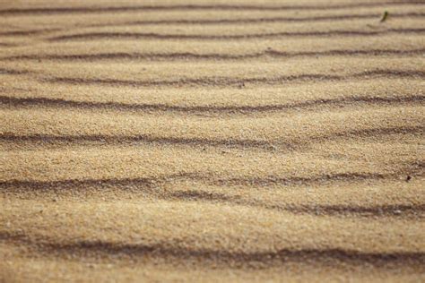 Lines In The Sand Of A Beach Stock Image Image Of Coast Empty 93761107