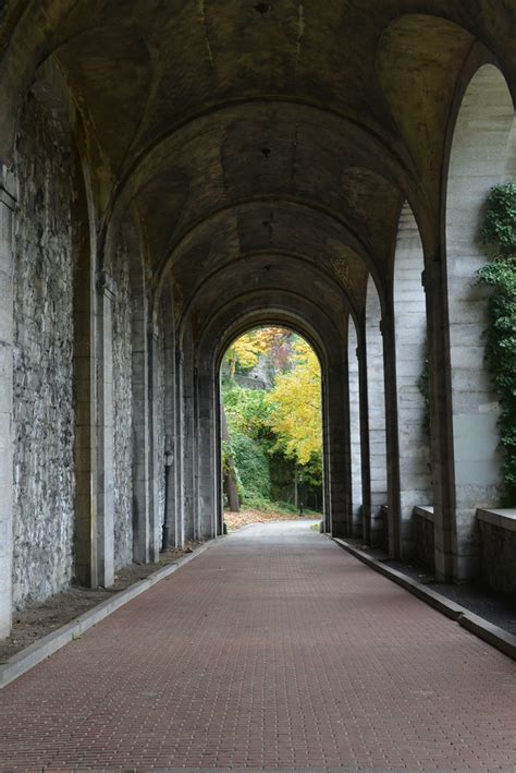 Autumn Tunnel Vision Under The Overlook At Fort Tryon Park Eddie