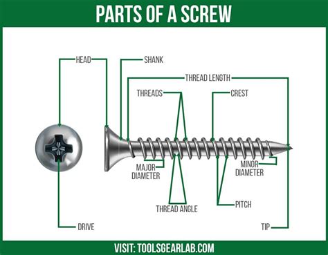 Parts Of A Screw With Detailed Diagram Picture Toolsgearlab