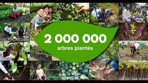 Millions D Arbres Plant S Avec Reforest Action Youtube