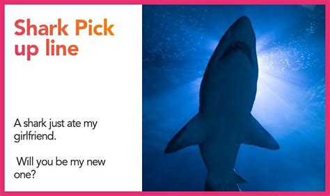 65 shark pick up lines and rizz