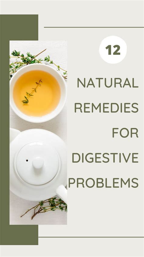 Top 12 Natural Remedies For Digestive Problems Digestion Problems Digestive Problems Remedies